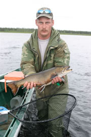 Quebec Walleye