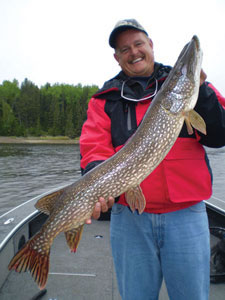 northern pike